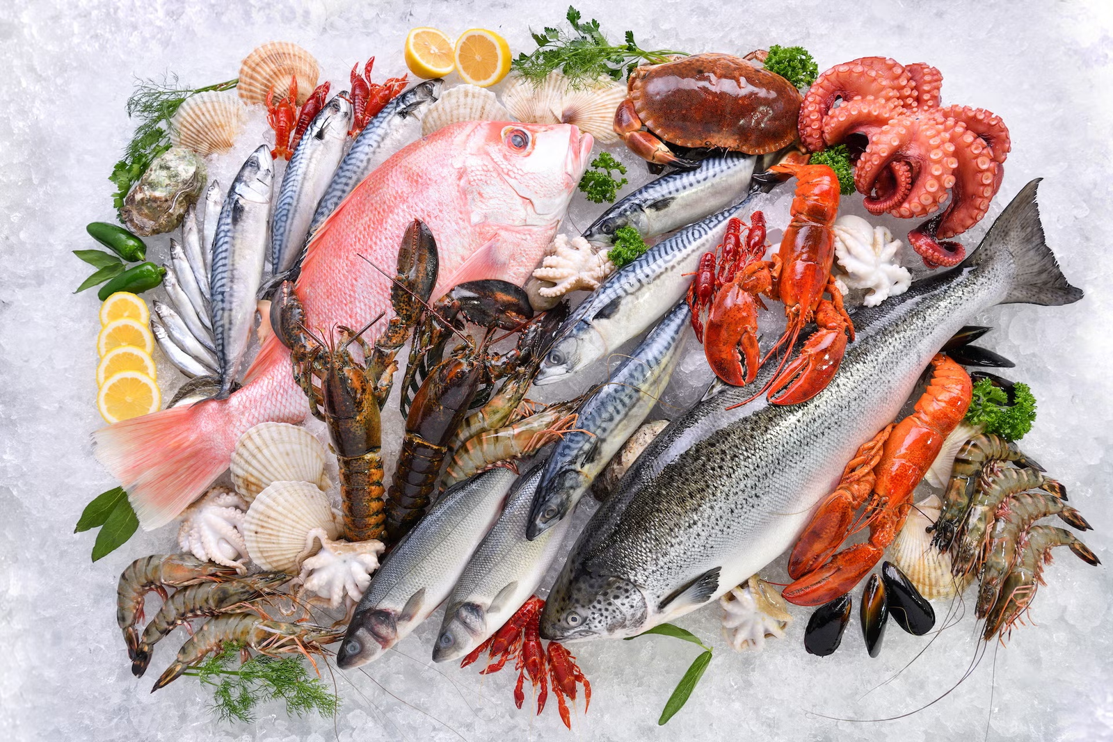 Fresh seafood on ice