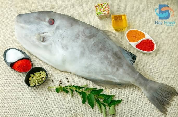 Leather Jacket Fish